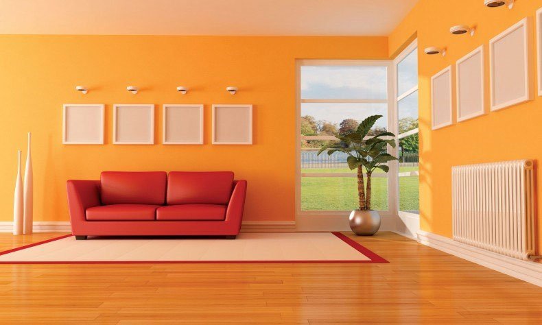 Shree Ambica Paints